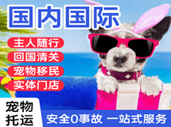文山砚山机场邮寄国际宠物托运 【国